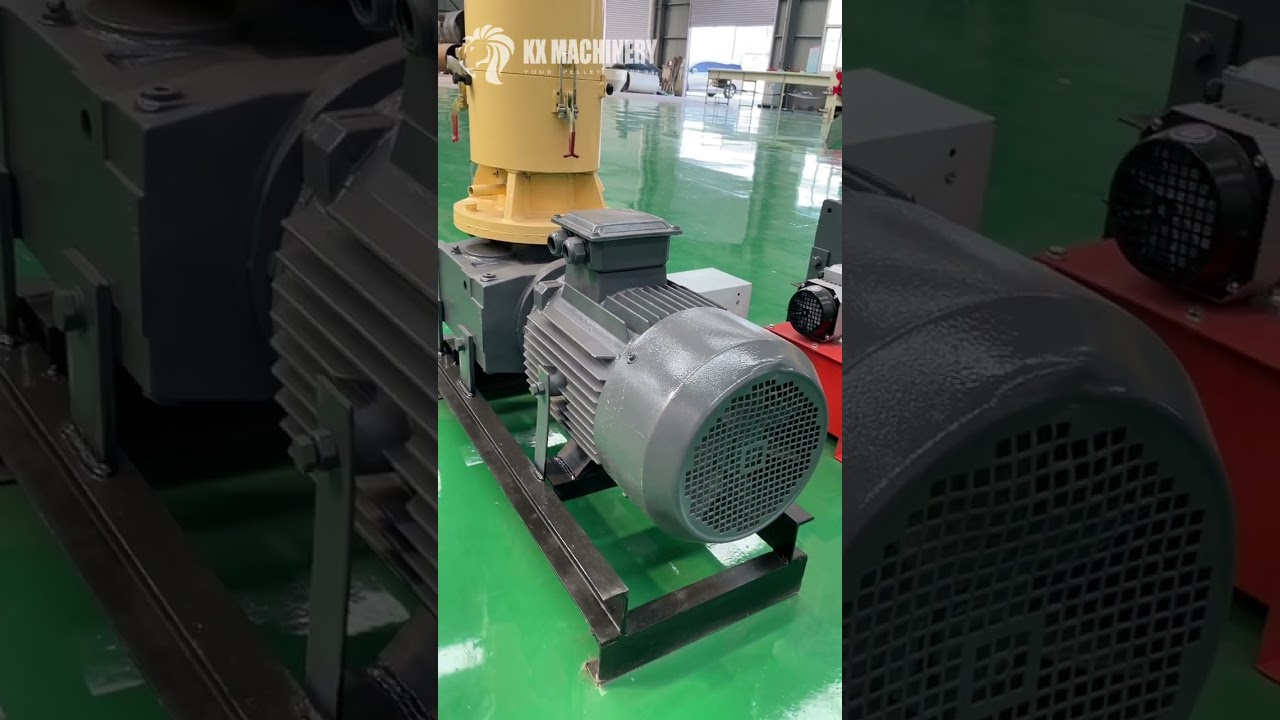 New Straw Husk Pallet Mill Rice Husk Pellet Machine for Biomass Processing