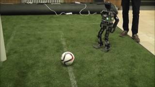 Qualification Video 2017 WF Wolves