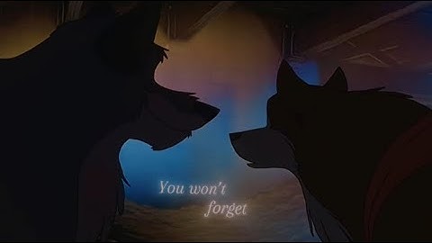 Timber - Balto X Jenna || MEP Part