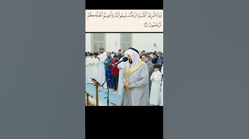 تلاوة تلامس القلوب