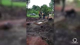 Estado do Paraná reduziu desmatamento em 78% em 2023