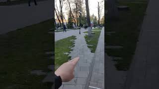 Как замостить протоптанный газон. Испорченная трава