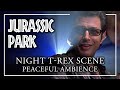 Jurassic Park Ambience | Peaceful Rain Sounds Relaxing ASMR Study Sleep