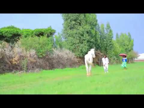 Caalaa Dagafa 2016        Farda lenjisa Gullalleti tufa munaa