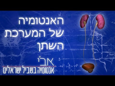 וִידֵאוֹ: היכן מתבצעת סינון אולטרה?