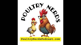 Chicken DNA Testing with Knights Poultry and Lab: Sexing, Genetics, and Breeding Insights