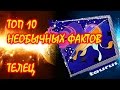 ТОП 10 необычных фактов о Знаке Зодиака Телец