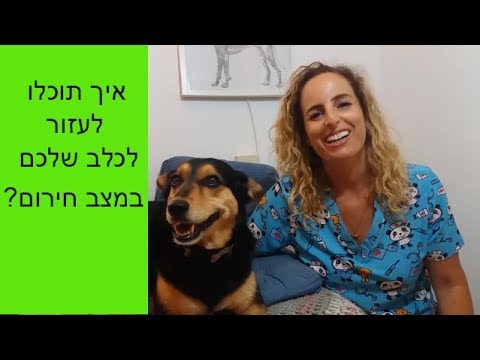 וִידֵאוֹ: כיצד למצוא את ציון מצבו של כלבך