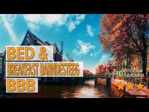 bed breakfast barndesteeg bbb hotel review hotels in amsterdam netherlands hotels