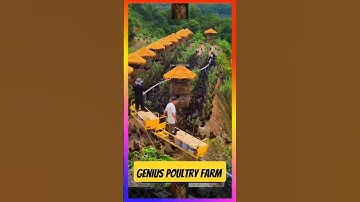 Genius Poultry Farm