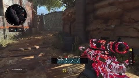 COD: BLACK OPS 4* My best online and custom bots moments