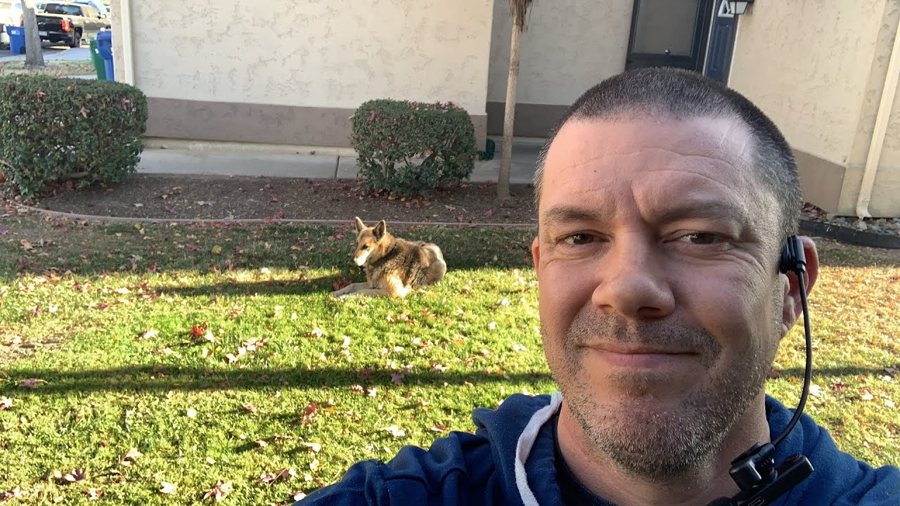 Appeal from YouTube Suspension submitted - 1 to 14 days wait!