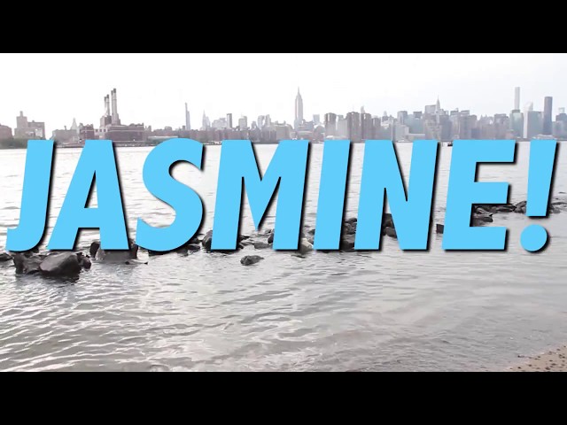 HAPPY BIRTHDAY JASMINE! This is your gift.