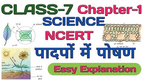 Class 7 Science Chapter 1 पादपों में पोषण | NCERT Full explanations in Hindi Medium |Edu Villa Point