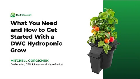 What You Need and How to Get Started With a DWC Hydroponic Grow [webinar recording]