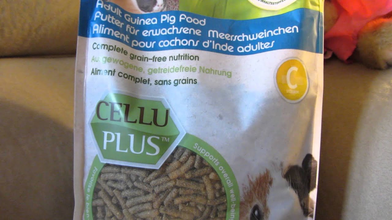Picture of REVIEW: Living World Green Adult Guinea Pig Pellets - YouTube