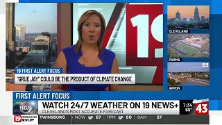 First Alert Focus: Fujiwhara