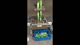 AS2000S  ice strip automatic packing machine