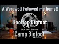 A warewolf followed me home rooftop bigfoot and camp bigfoot
