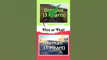 GENERAL KNOWLEDGE THIS OR THAT CHALLENGE! 🤔 Test Your Brain! #triviatricks #englishquiz #english