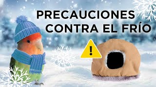 Como PROTEGER a tu LORITO del FRÍO en CASA ❄ [ CUIDADO con los NIDOS ❗ ]