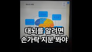 전두엽 후전두엽 두정엽 측두엽 후두엽 대뇌의 역할