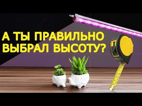 Как выбрать высоту подвеса для фитолампы ? Какие линзы и в каких случаях нужно использовать ?