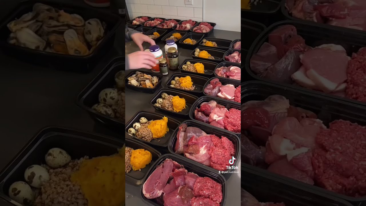 Raw Dog Food Meal Prep 