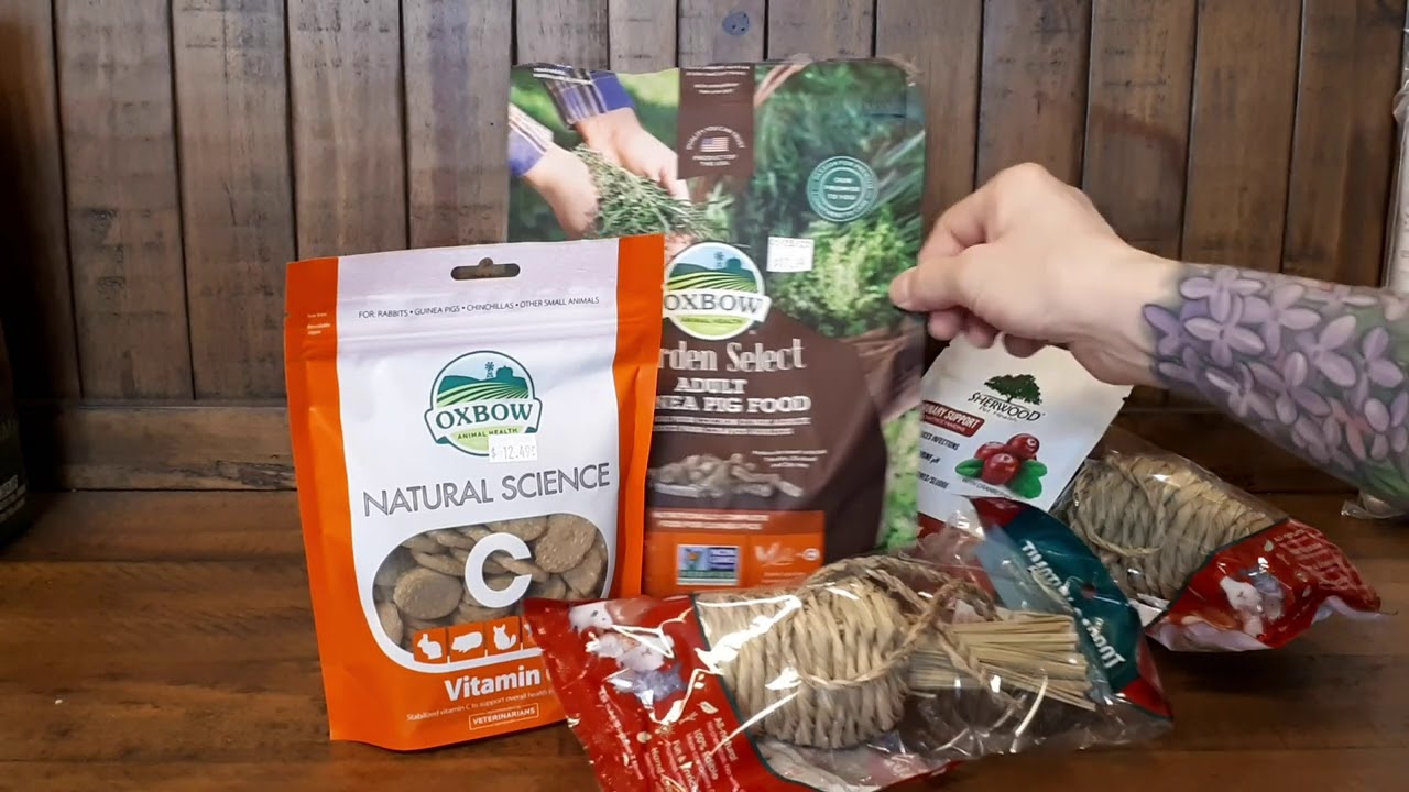 Guinea Pig Supply Haul YouTube