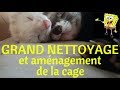 Nettoyage et amnagement cage chez les furets malins