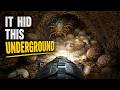 Dung Beetle POV Finds a Hidden Underground Nursery