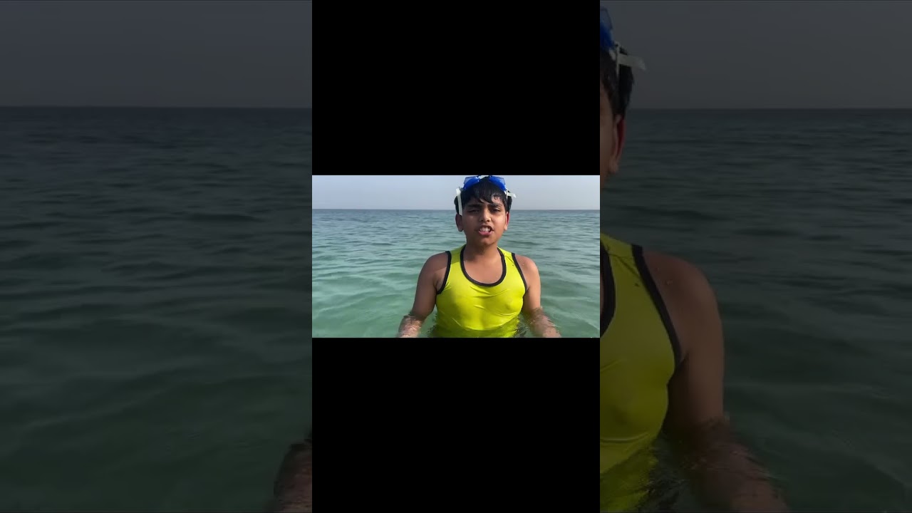 Octopus Facts That Will Blow Your Mind! 🤯 