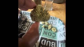 A Quick Look at Limo Tint Strain by Redemption