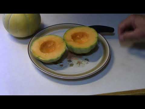 Video: Môžete Trellis melón?