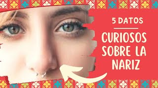 5 Datos curiosos sobre la nariz humana