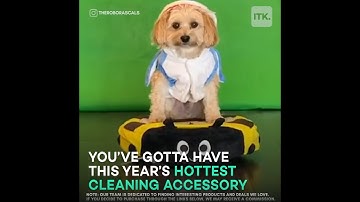 Robo Rascals Called "The Year