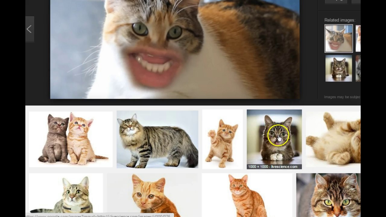 Creating Transparent Photos Pixlr YouTube