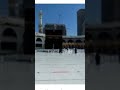 وخدوني والله معاكم يا زوار النبي