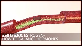 Estrogen: How to Balance Hormones | Health Hacks- Thomas DeLauer