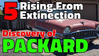 Rising From Extinection: Discovery of 5 Packards | Craigslist Cars For Sale By Owner