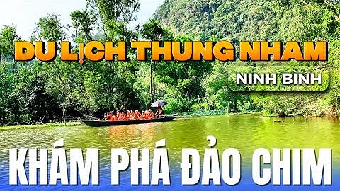 Trải Nghiệm Đi Thuyền Khám Phá Đảo Chim Thung Nham – Du Lịch Sinh Thái Ninh Bình