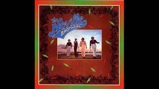 The Neville Brothers - Audience For My Pain