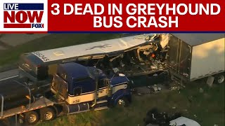 Greyhound crash: 3 dead, 14 others hurt in Illinois | LiveNOW from FOX