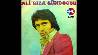 Ali Rıza Gündoğdu - Bir Yiğit Gurbete Gitse Resimi