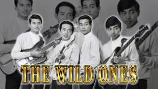 The Wild Ones - YouTube