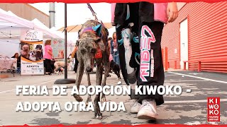 Feria de Adopción Kiwoko “Adopta otra Vida” ❤ | Día del PERRO sin RAZA