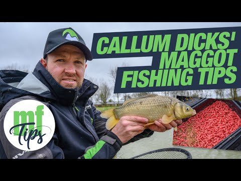Callum Dicks' Maggot Fishing Tips