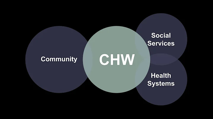 What are community health workers and what do they do?