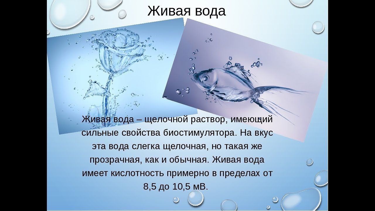 Конспект по воде биология 6 класс. Живая вода. Тема Живая вода. Характеристика живой воды. Программа Живая вода.