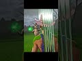 Donkey Fatality on Cowgirl Ashrah